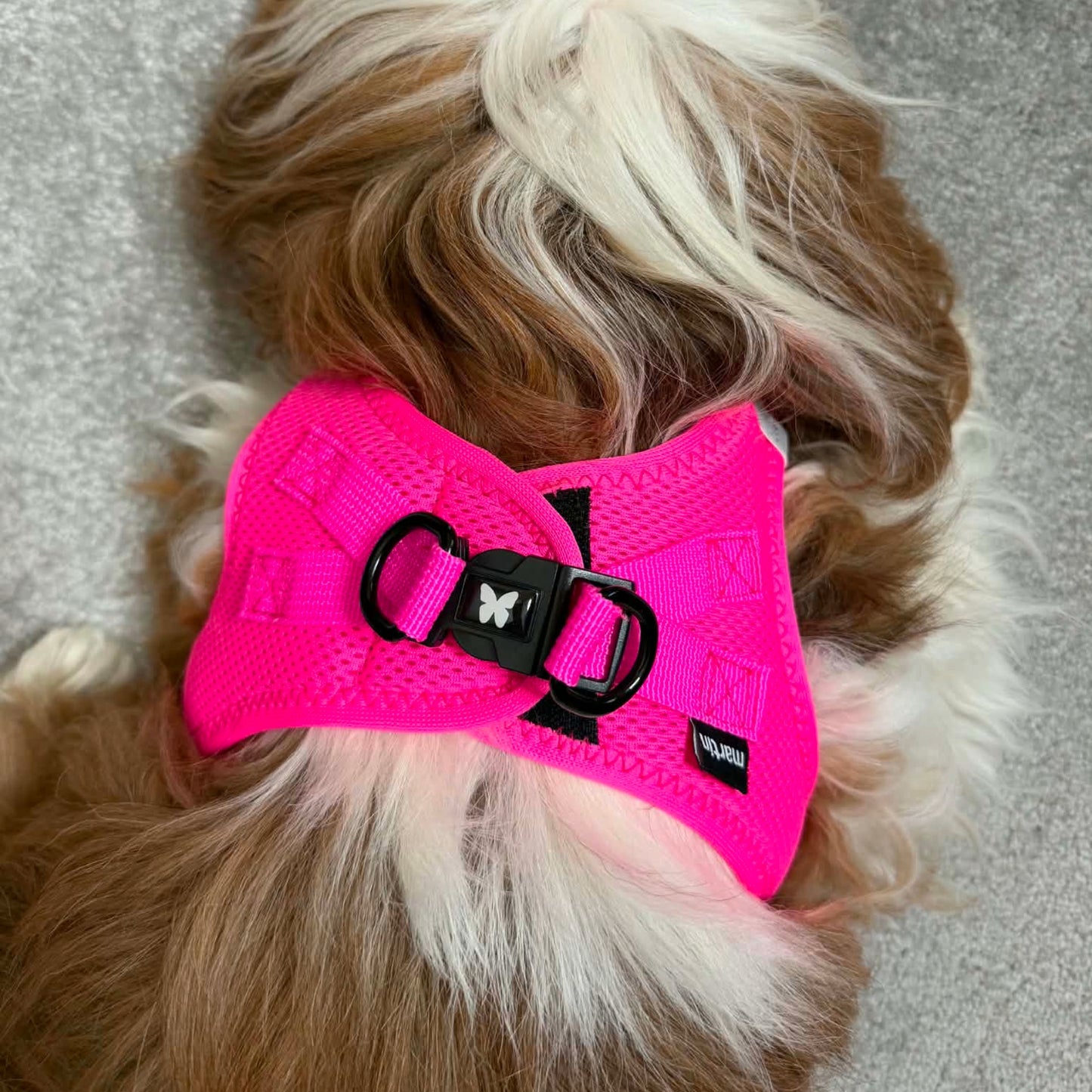 Harnais Martin Sellier Rose fluo - Confort & Sécurité | Le Dressing du chien