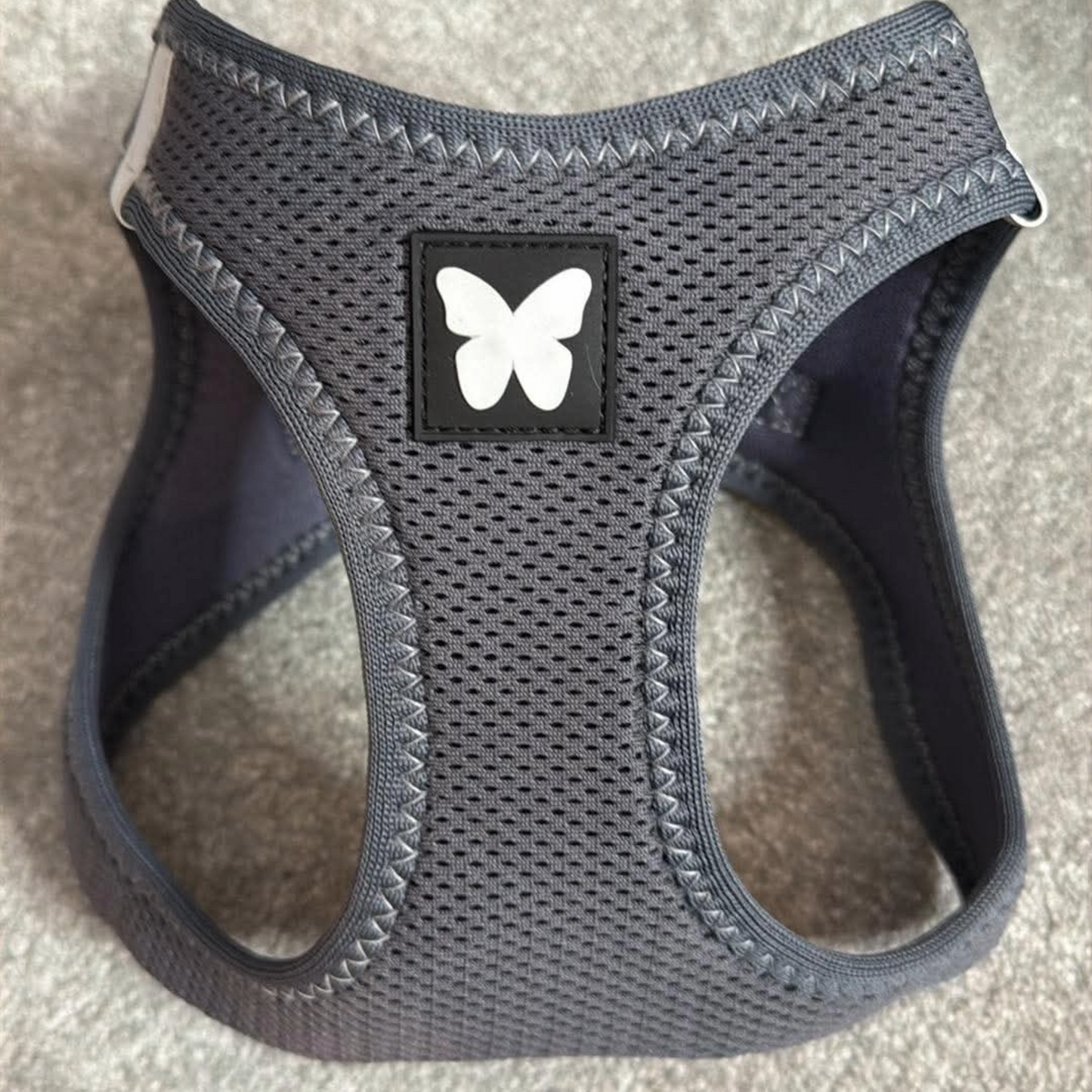 Harnais Martin Sellier Gris - Confort & Sécurité | Le Dressing du chien