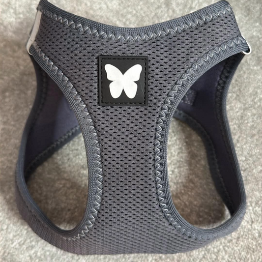 Harnais Martin Sellier Gris - Confort & Sécurité | Le Dressing du chien