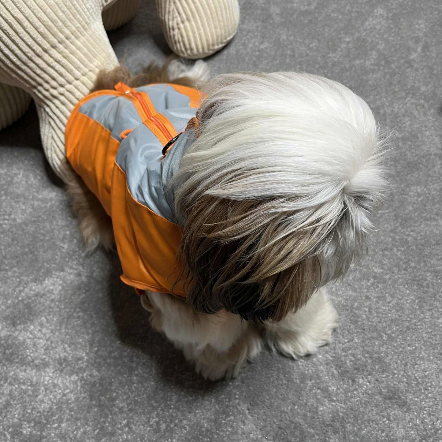 Imperméable pour chien Martin Sellier - Orange/Gris | Le Dressing du Chien