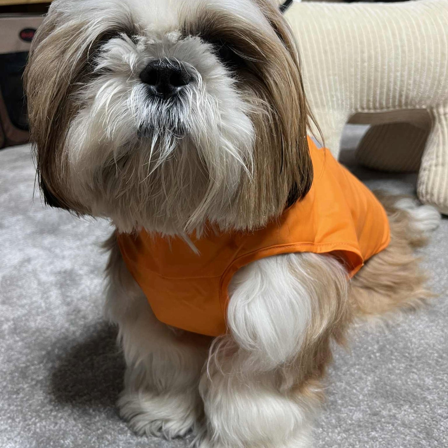 Imperméable pour chien Martin Sellier - Orange/Gris | Le Dressing du Chien