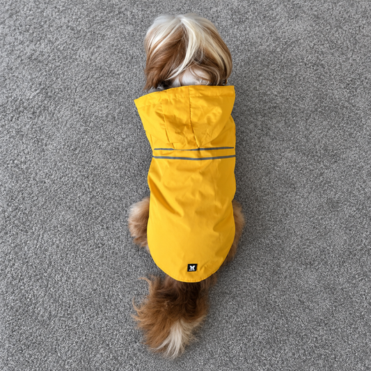 Imperméable Martin Sellier Jaune - Léger & Réfléchissant | Le Dressing du Chien