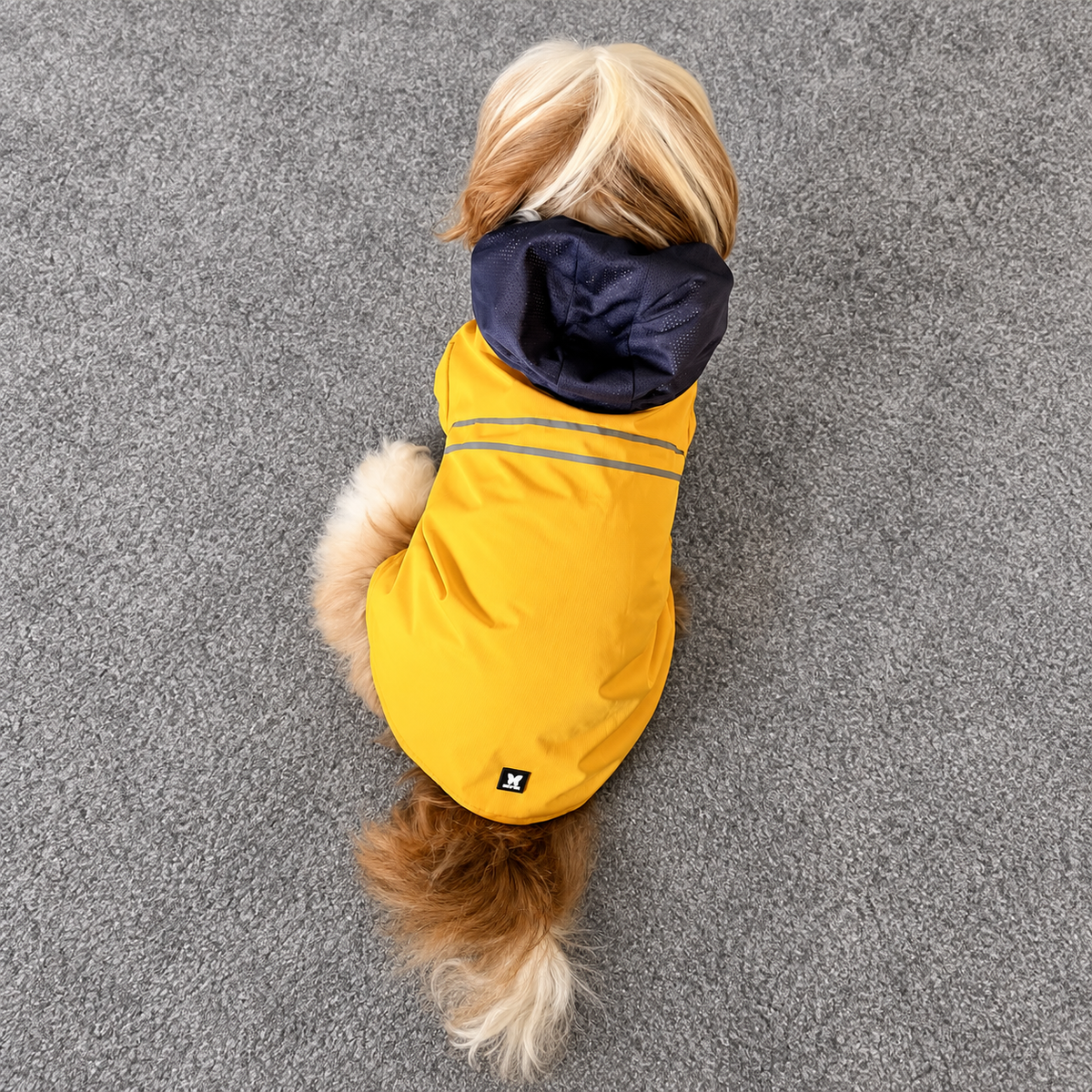 Imperméable Martin Sellier Jaune - Léger & Réfléchissant | Le Dressing du Chien