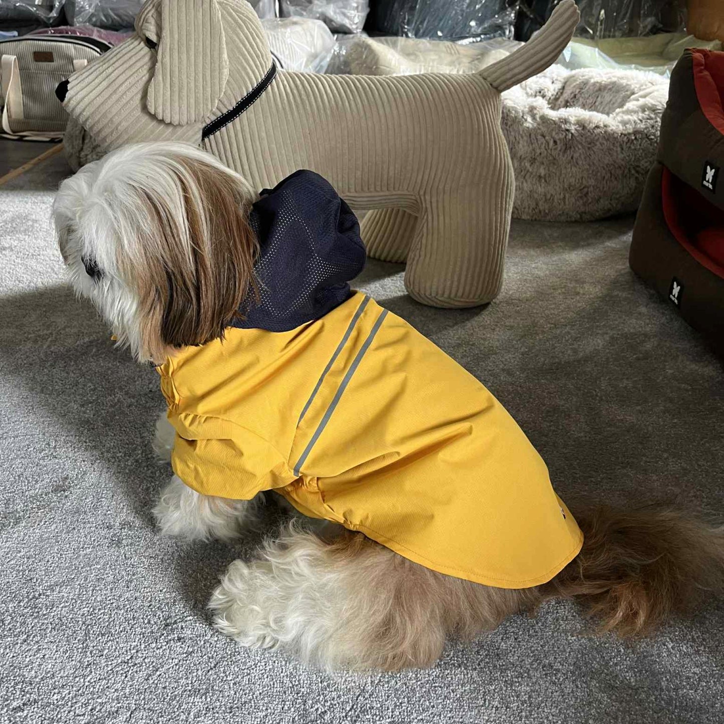 Imperméable Martin Sellier Jaune - Léger & Réfléchissant | Le Dressing du Chien
