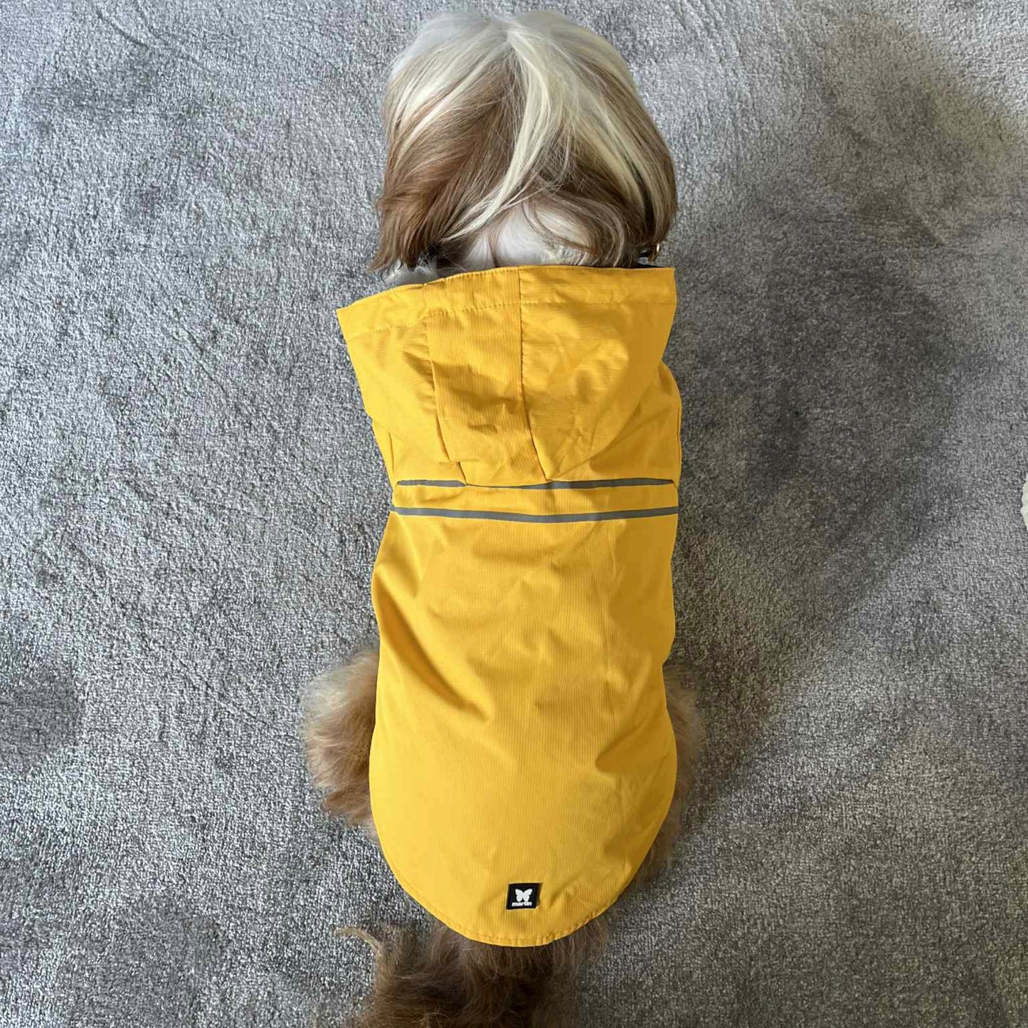Imperméable Martin Sellier Jaune - Léger & Réfléchissant | Le Dressing du Chien