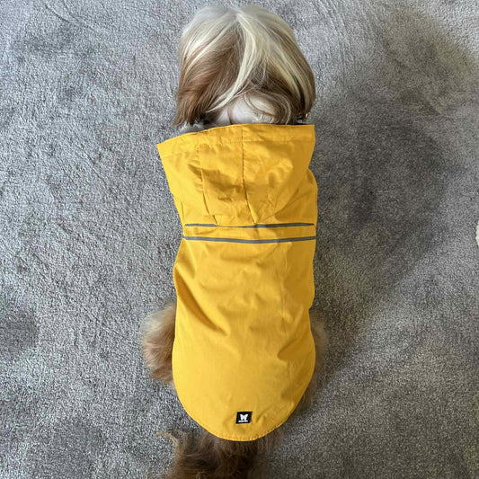 Imperméable Martin Sellier Jaune - Léger & Réfléchissant | Le Dressing du Chien