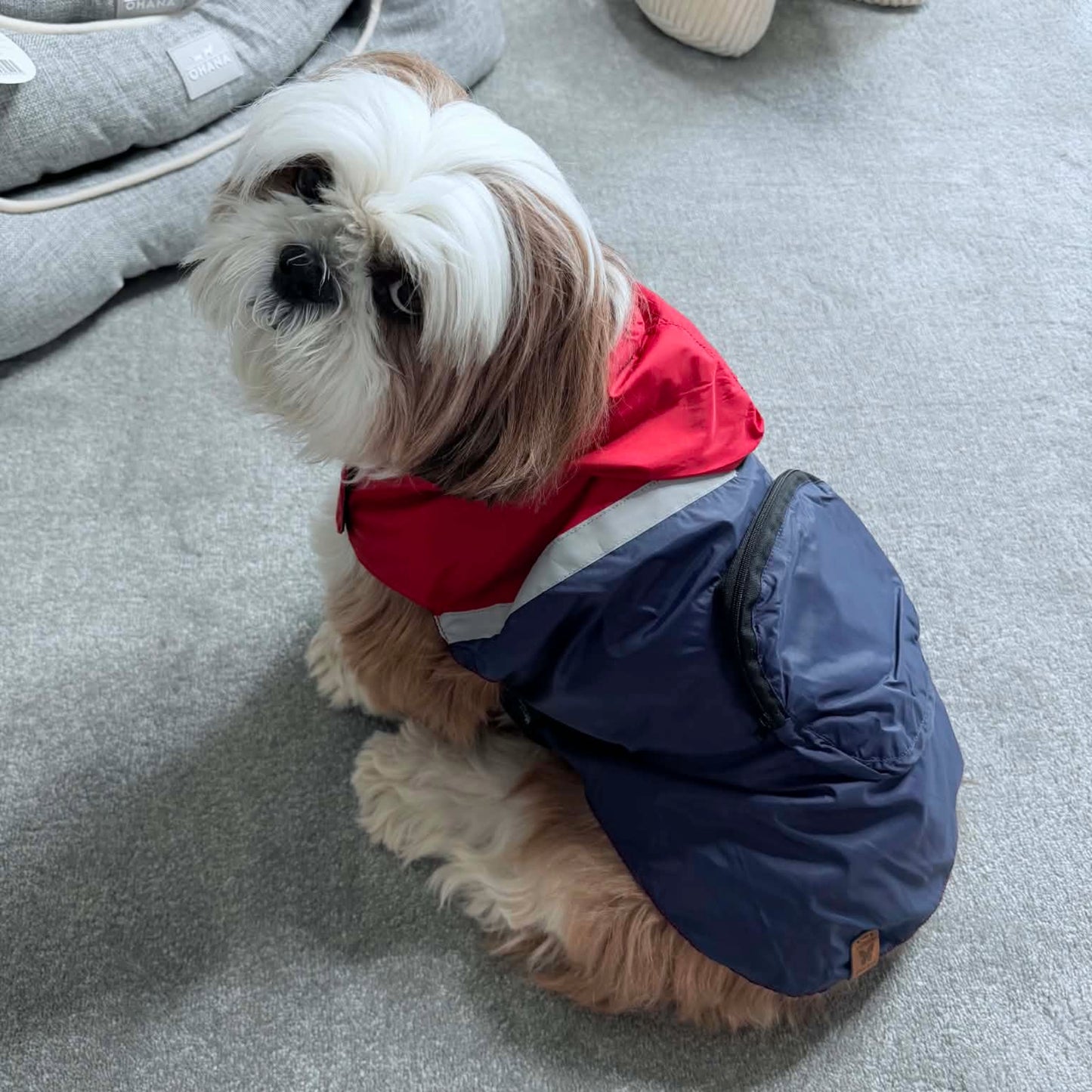 Imperméable Rouge & Marine Martin Sellier | Le Dressing du Chien