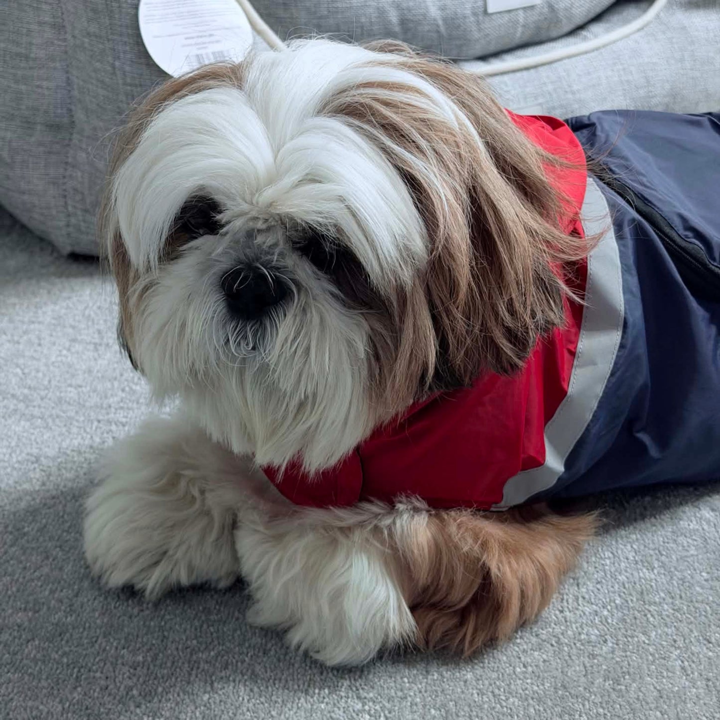 Imperméable Rouge & Marine Martin Sellier | Le Dressing du Chien