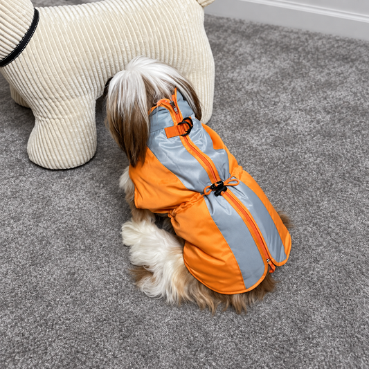 Imperméable pour chien Martin Sellier - Orange/Gris | Le Dressing du Chien