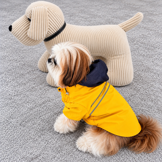Imperméable Martin Sellier Jaune - Léger & Réfléchissant | Le Dressing du Chien