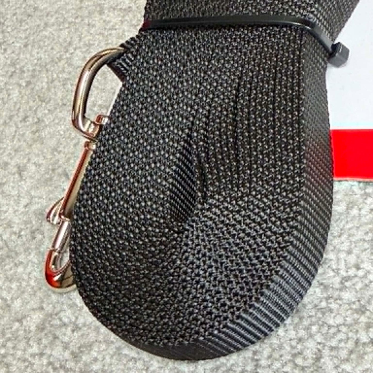 Longe plate noire 5 mètres - 15 mm| Contrôle et élégance | Le Dressing du Chien