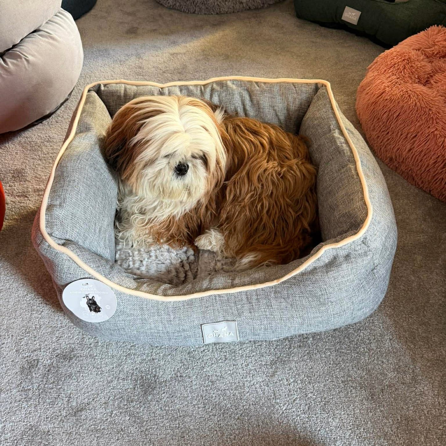 Panier Ultra Doux Gris - Confort Moelleux & Apaisant | Le Dressing du Chien