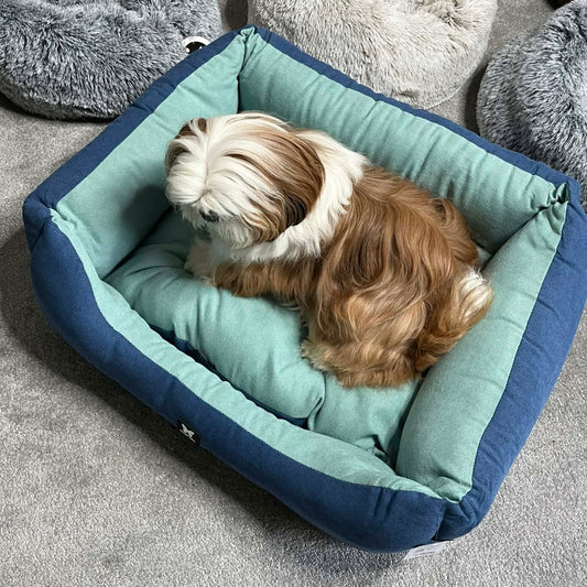 Panier Domino Martin Sellier Bicolore - Bleu - Corbeille & Coussin amovible | Le Dressing du Chien