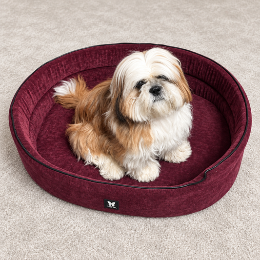 Panier Ovale Martin Sellier - Collection Élégante | Le Dressing du Chien