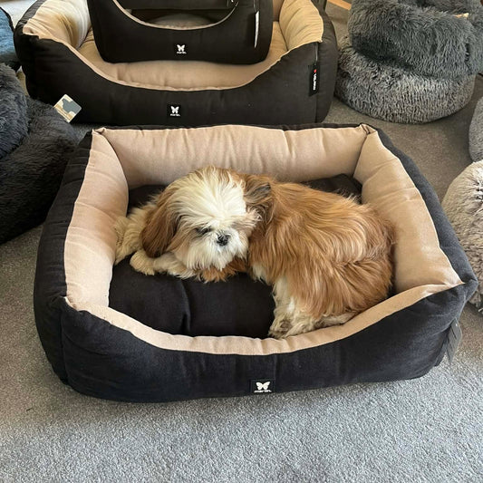 Panier Domino Martin Sellier Bicolore - Noir & Beige - Corbeille & Coussin amovible | Le Dressing du Chien