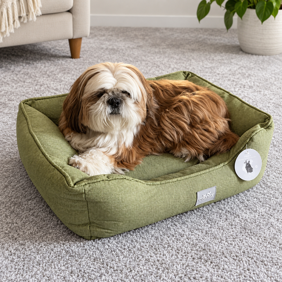 Panier vert clair Ohana - Confort & Élégance pour votre Compagnon | Le Dressing du Chien