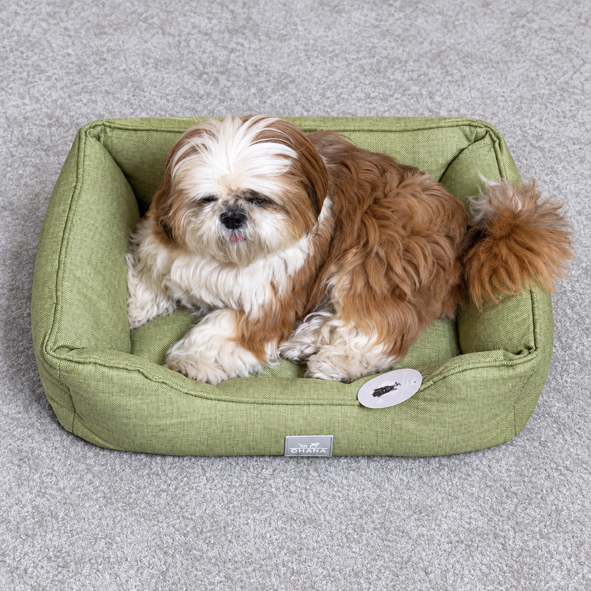 Panier vert clair Ohana - Confort & Élégance pour votre Compagnon | Le Dressing du Chien