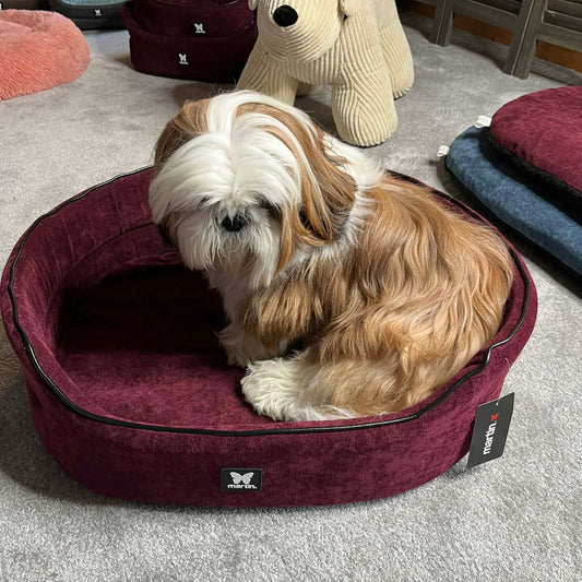 Panier Ovale Martin Sellier - Collection Élégante | Le Dressing du Chien