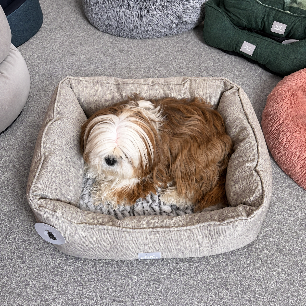 Panier Ultra Doux Beige - Confort Moelleux & Apaisant | Le Dressing du Chien
