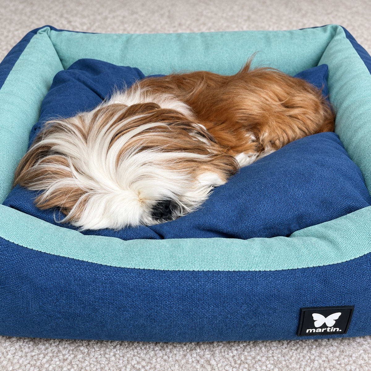 Panier Domino Martin Sellier Bicolore - Bleu - Corbeille & Coussin amovible | Le Dressing du Chien