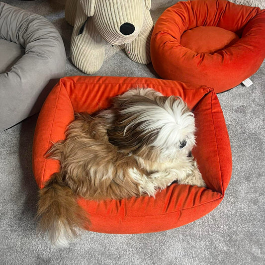 Panier rectangulaire 60 x 45 cm en velours orange - Confort & Style | Le Dressing du Chien