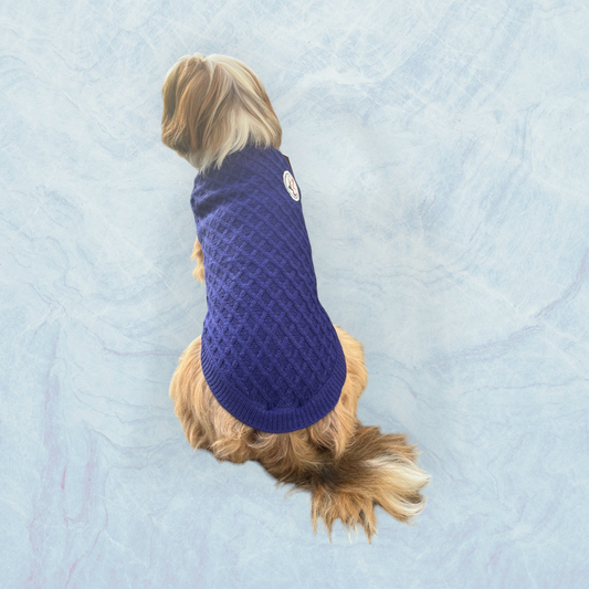 Pull Chasseur Alpin bleu - Alter Ego - MARTIN SELLIER