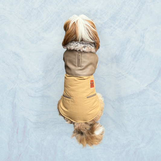 Manteau beige Dog Division pour chien et chiot - MARTIN SELLIER