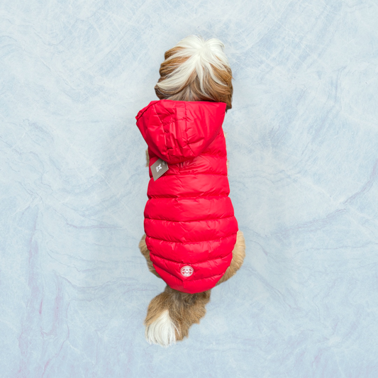 Doudoune Free Spirit -Rouge pour chien et chiot