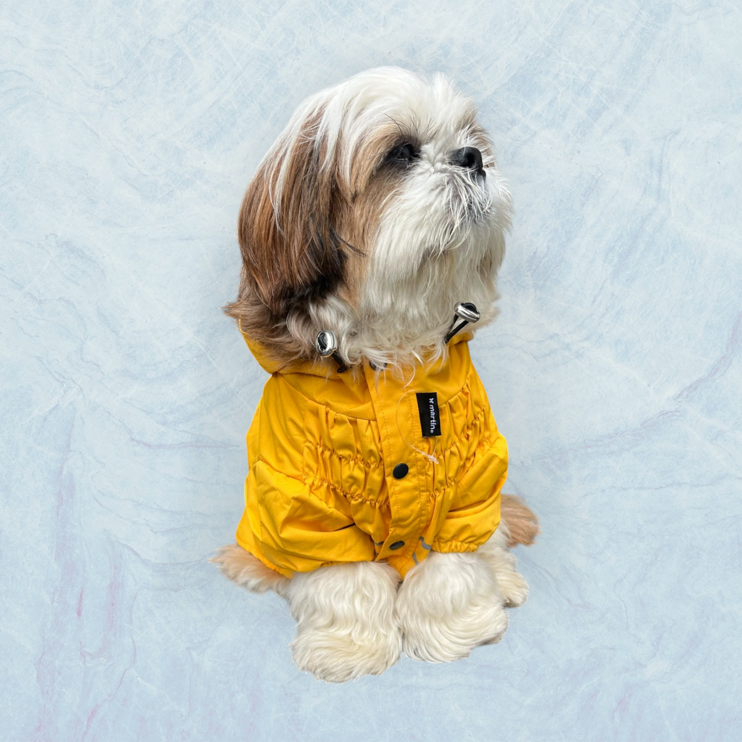 Imperméable - Saint-Malo - Jaune - MARTIN SELLIER