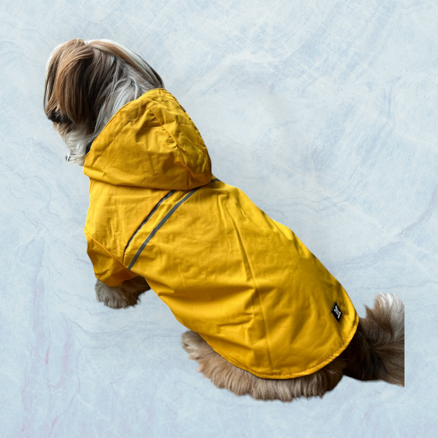 Imperméable - Saint-Malo - Jaune - MARTIN SELLIER
