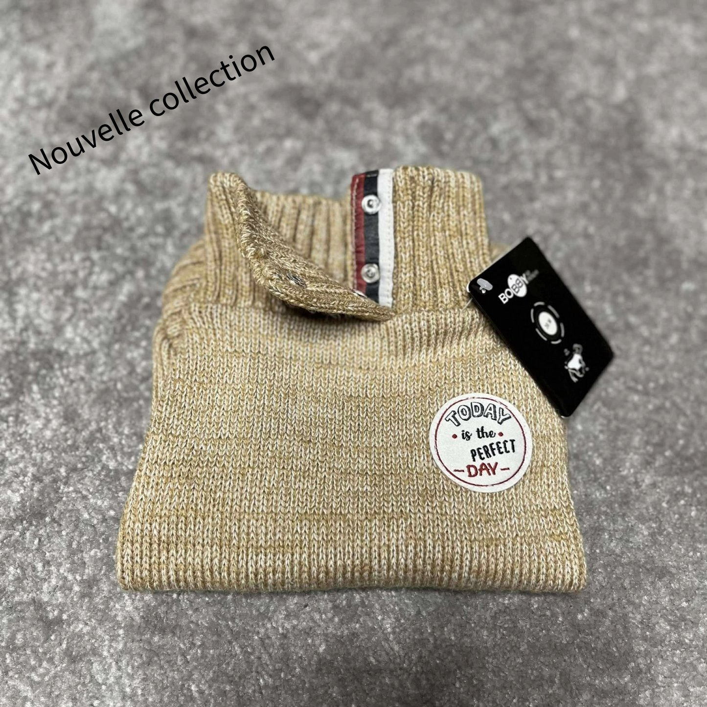 Pull Bobby Beige - Le classique chic - Nouvelle Collection | Le Dressing du Chien