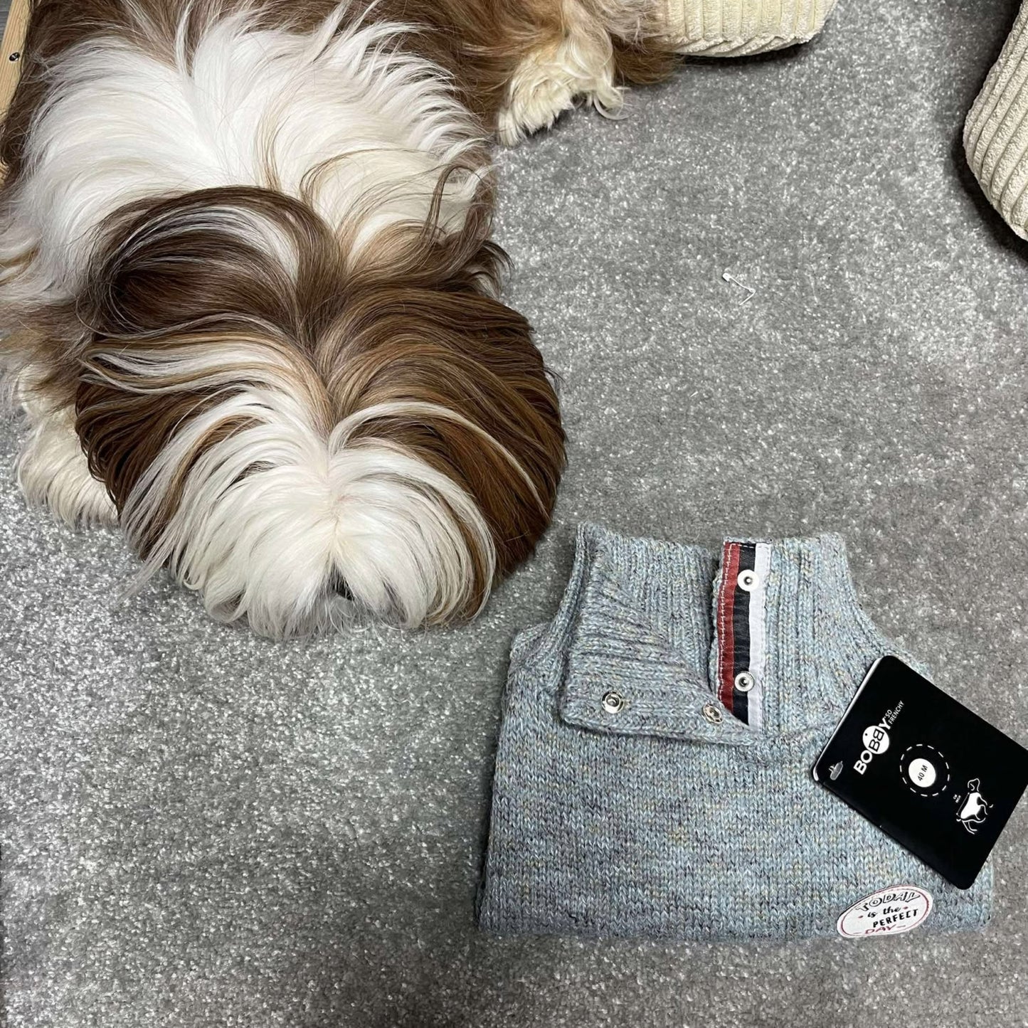 Pull Bobby Bleu Glacé - Le classique chic - Nouvelle Collection | Le Dressing du Chien