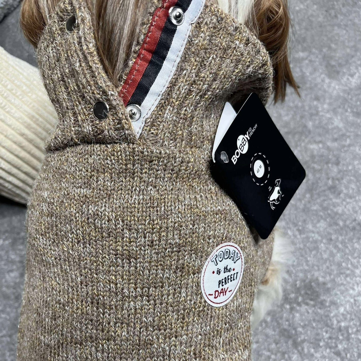 Pull Bobby Choco - Le classique chic - Nouvelle Collection | Le Dressing du Chien