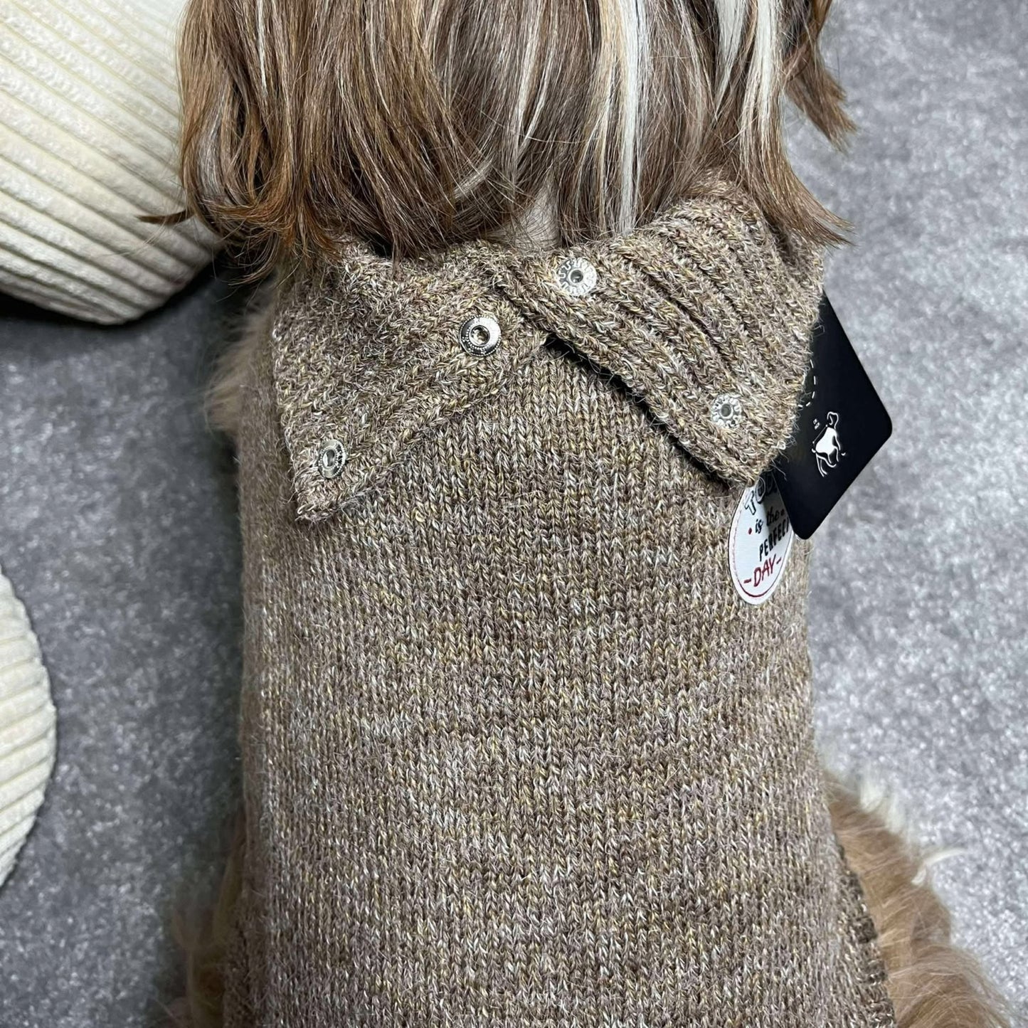 Pull Bobby Choco - Le classique chic - Nouvelle Collection | Le Dressing du Chien