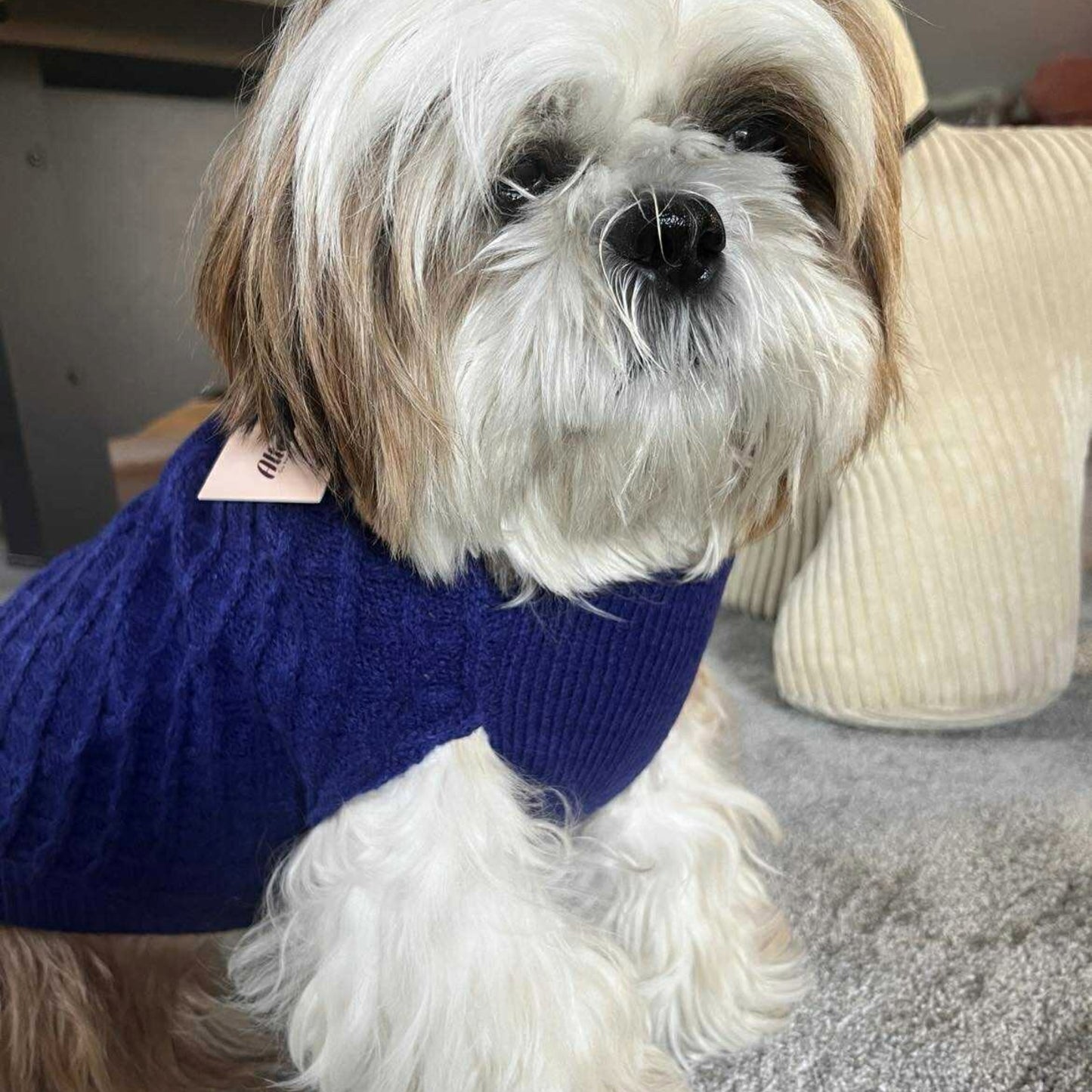 Pull Martin Sellier - Chasseur Alpin - Bleu | Le Dressing du Chien