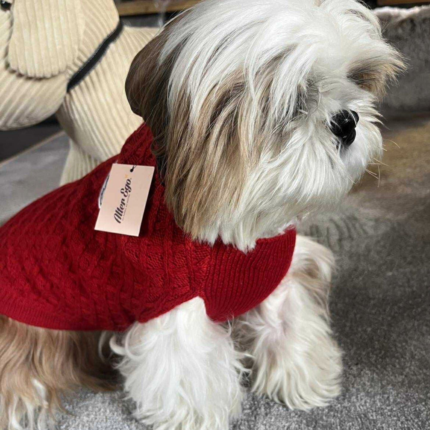 Pull Martin Sellier - Chasseur Alpin - Rouge | Le Dressing du Chien
