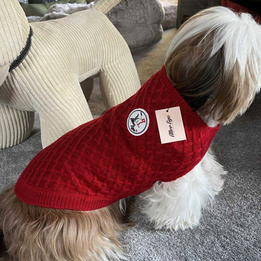 Pull Martin Sellier - Chasseur Alpin - Rouge | Le Dressing du Chien