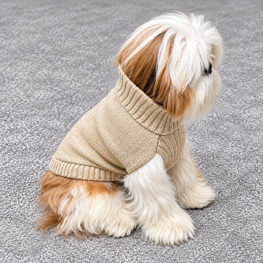 Pull Bobby Beige - Le Classique Chic  | Le Dressing du Chien