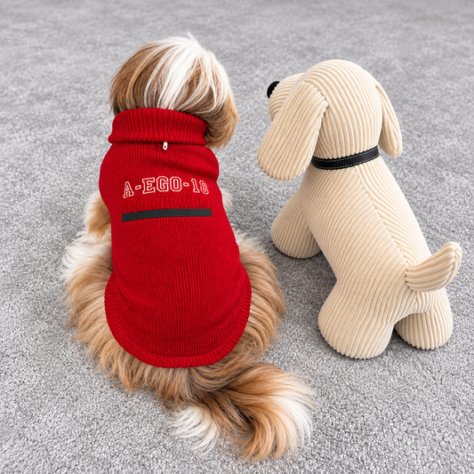 Pull Martin Sellier Alter Ego - Rouge | Le Dressing du Chien