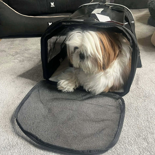 Sac de transport pour chien jusqu'à 8 kg avec bandoulière & poignée | Le Dressing du Chien