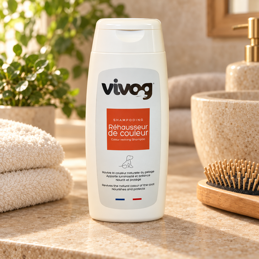 Shampooing Réhausseur de Couleur Vivog - Made in France - Enrichi en vitamine F - Brillance Immédiate & Couleur Sublimée | Le Dressing du Chien