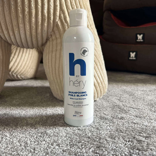Shampooing Poils Blancs pour Chien - Éclat & Anti -Ternissement -250 ml | Le Dressing du Chien