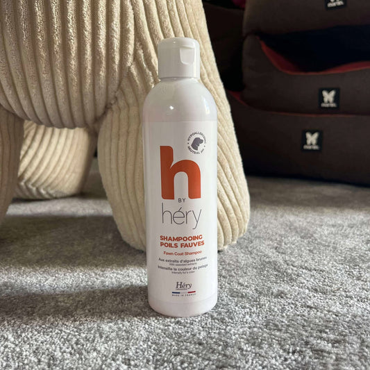 Shampooing Sublimateur pour Poil Fauve - Éclat & Douceur Naturels | Le Dressing du Chien