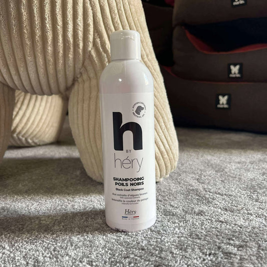Shampooing Sublimateur pour Poils Noirs - Brillance Intense & Soin Doux | Le Dressing du Chien