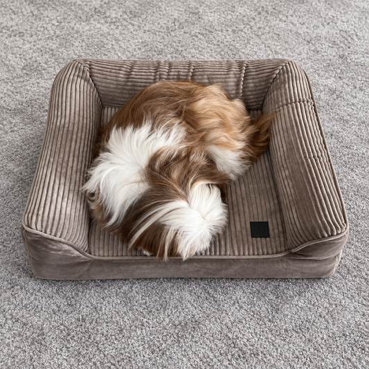 Canapé Royal Martin Sellier 70 cm - Confort Royal à la Maison | Le Dressing du Chien