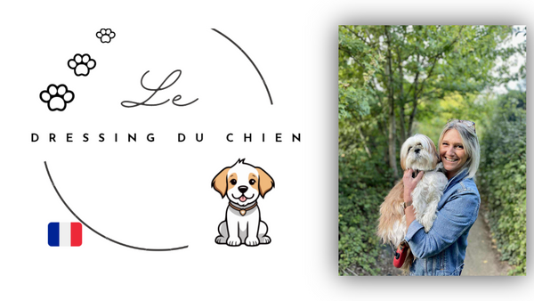 ledressingduchien.com